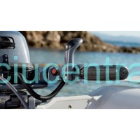 YAMAHA F9.9HMHS Sport pakabinamas valties variklis 